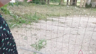 Vadító barinő várja a kárót