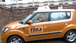Fake Driving School - Louise Lee imádja a gigantikus farkat