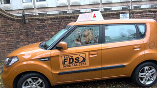 Fake Driving School rá spriccelek a méretes néger faszodra