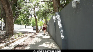 GingerPatch - szépséges kicsike vörös gádzsi és a szomszédja