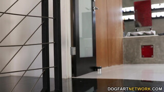 Bunny Colby felizgult a termetes dákóra